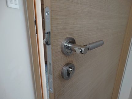 Modern European Doors