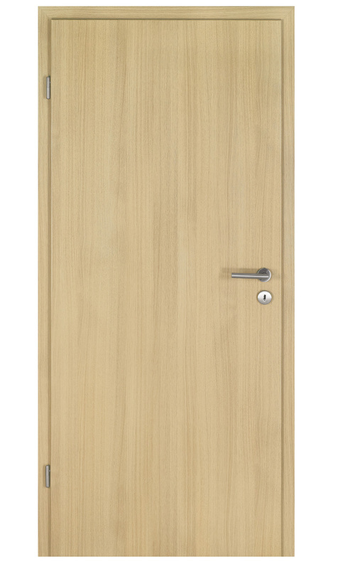 Modern Flush Doors